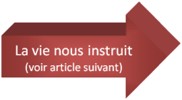 logo la vie nous instruit