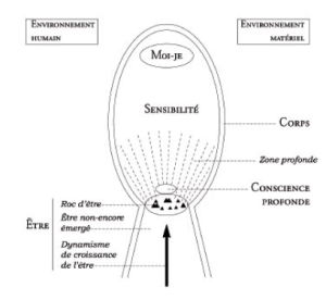 Shema de la personne