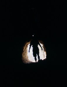 photo Jeff Williamson